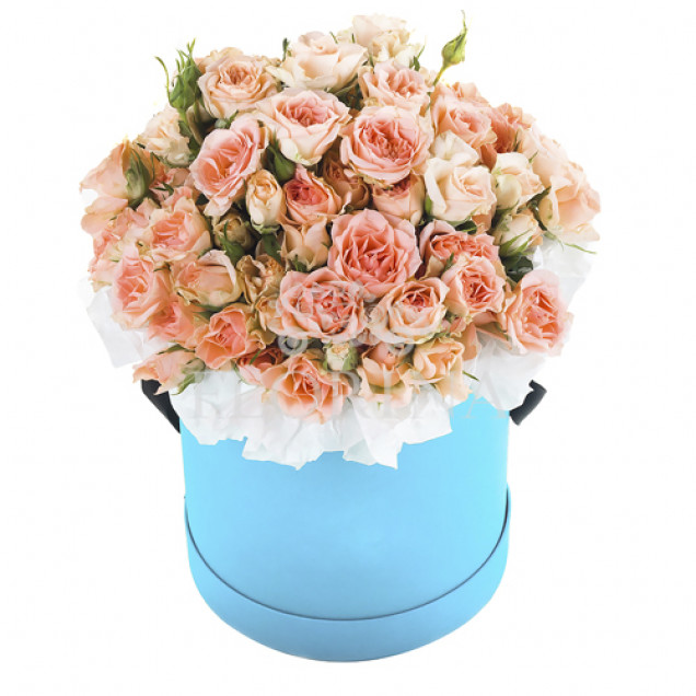 Коробка цветов "Фестиваль"