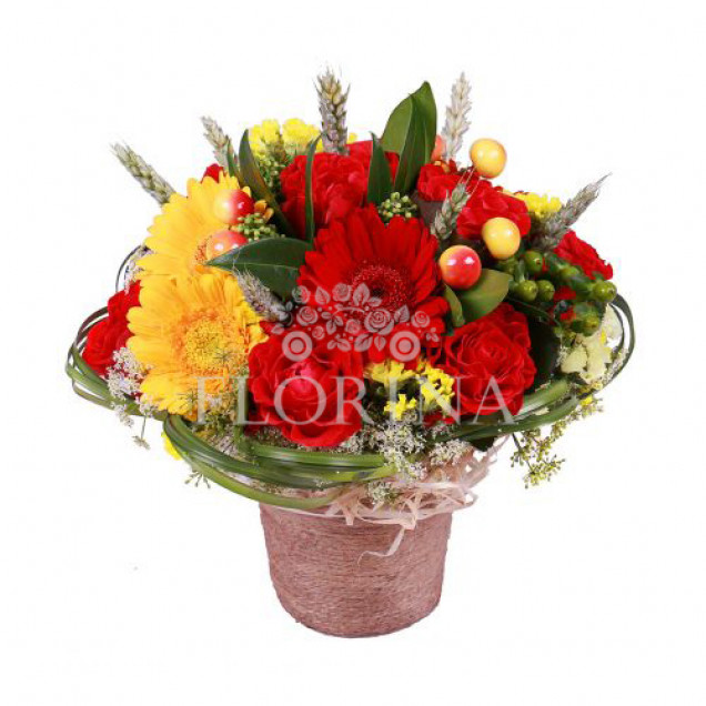 Композиция в кашпо "Эсперанс"