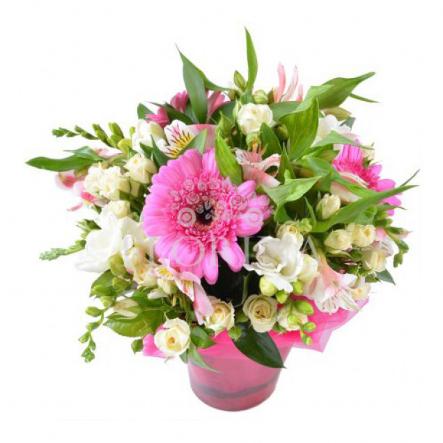 Композиция в кашпо "Гавань"