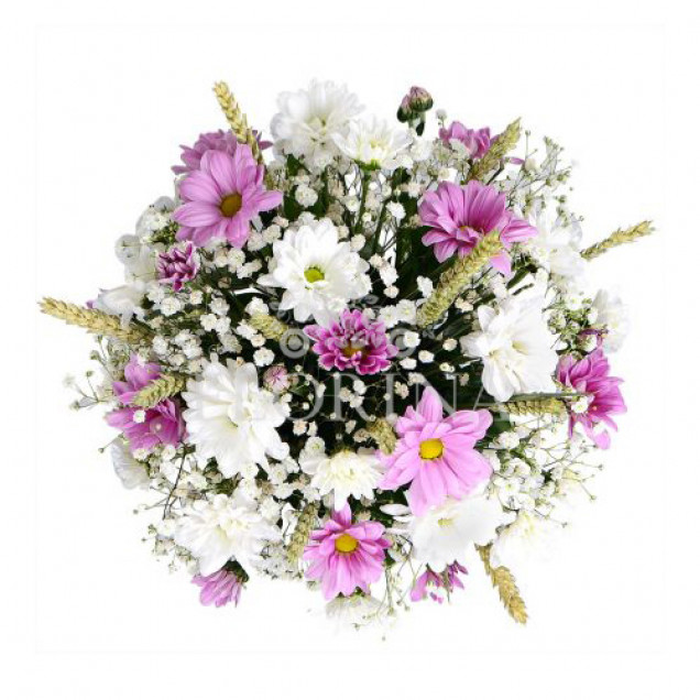 Композиция в кашпо "Соблазн"