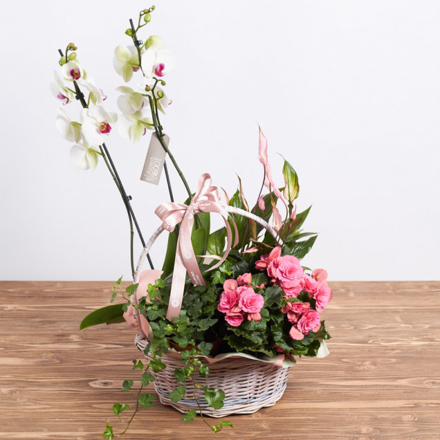 Композиція у кошику "Аркадія"