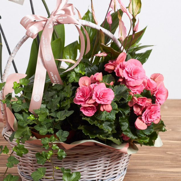 Композиція у кошику "Аркадія"