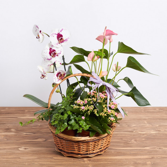 Композиція у кошику "Бохо"