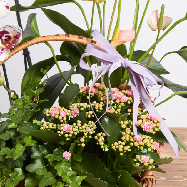 Композиція у кошику "Бохо"