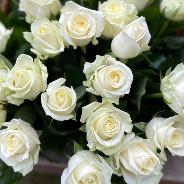 Композиція у кошику "Діліжанс"