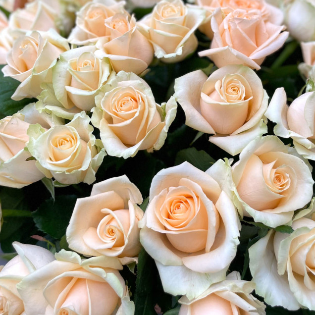 Композиція у кошику "Фантазія"