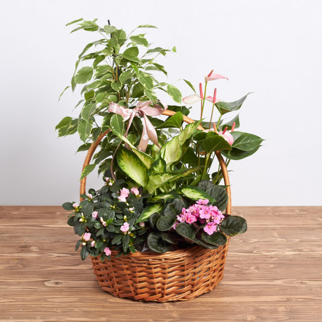 Композиція у кошику "Пальмера"