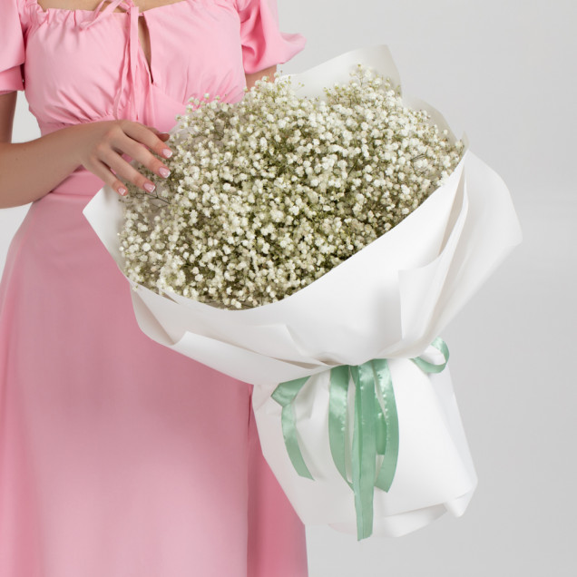 Гипсофіли "Клауд"