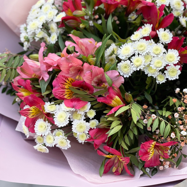 Альстромерія "Наталі"