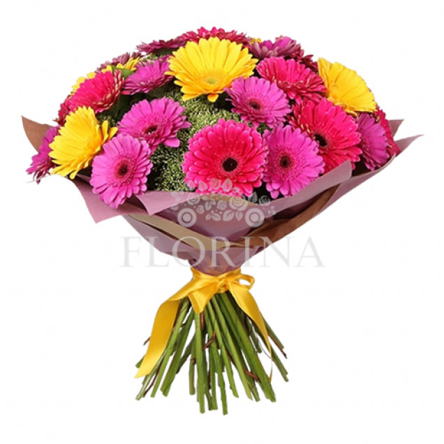 Герберы "Анастасия"