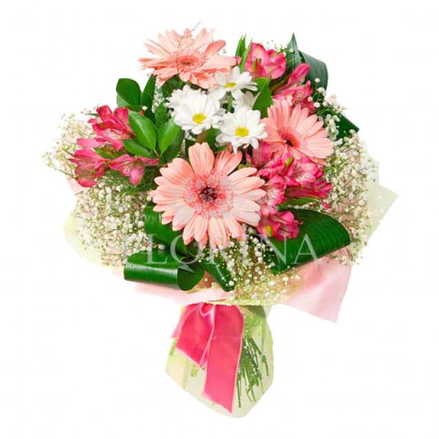 Герберы "Ангельское чудо"