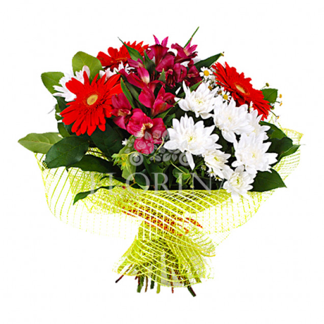 Гербери "Художник"