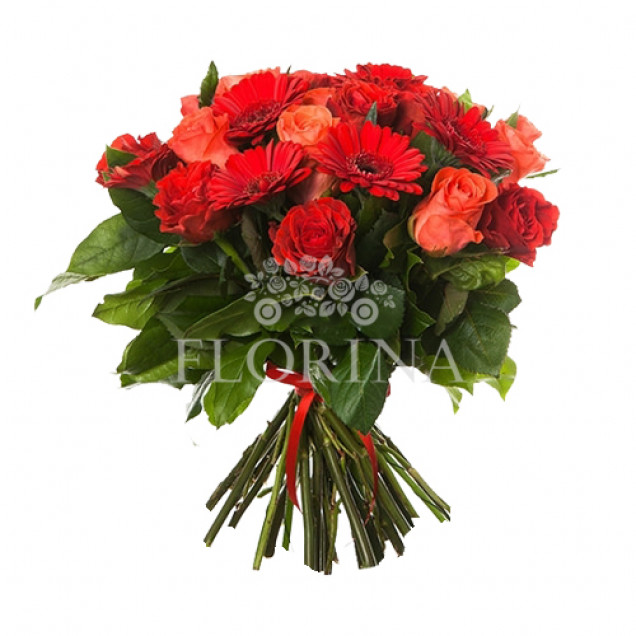 Герберы "Империя Страсти"