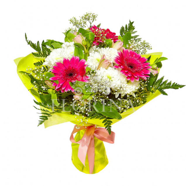 Герберы "Камилия"