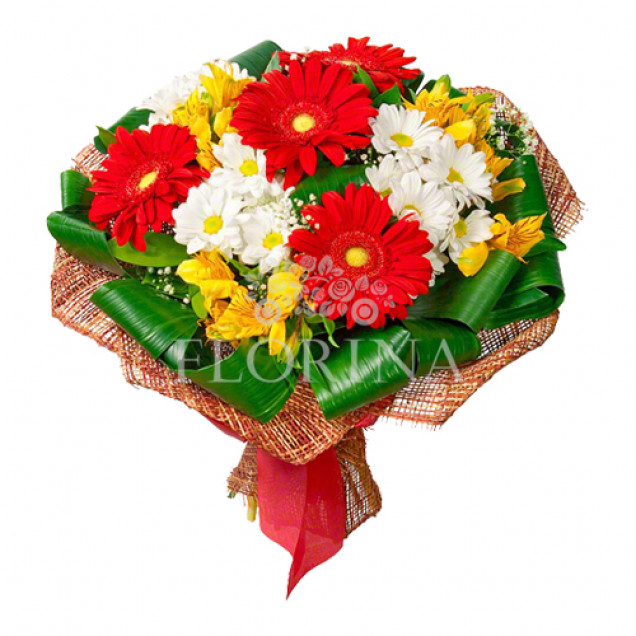 Гербери "Промінь сонця"