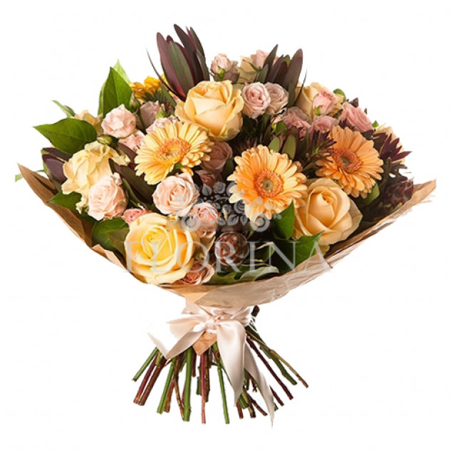 Герберы "Статус"