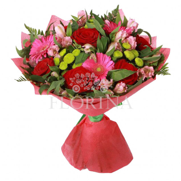 Герберы "Волшебная страна"