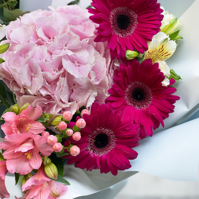 Гербери "Звуки музики"