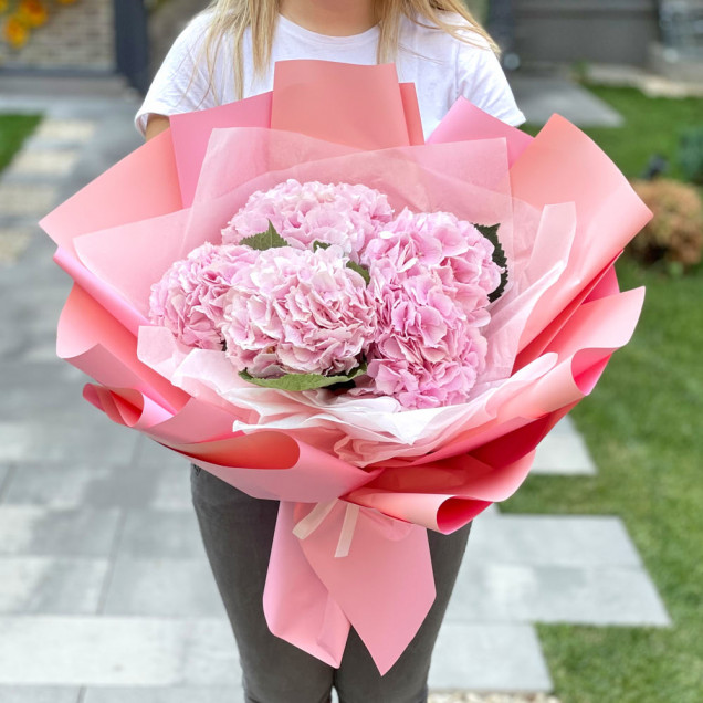 Гортензії "Делайт"