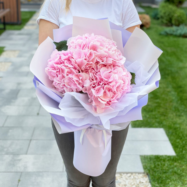 Гортензії "Шанті"