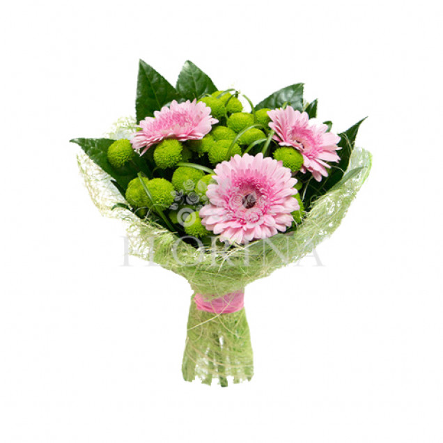 Хризантемы "Аромат весны"