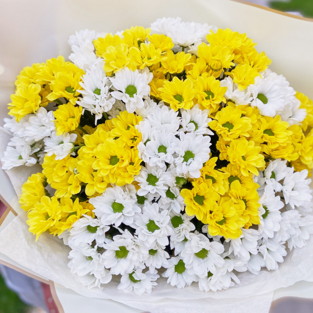Хризантеми, купити букет хризантем у Києві з доставкою додому - Florina