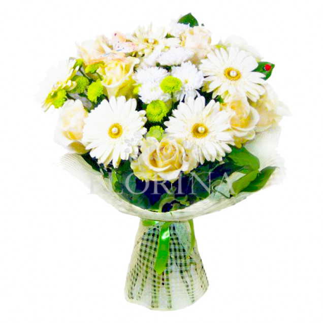 Хризантемы "Нежный поцелуй"