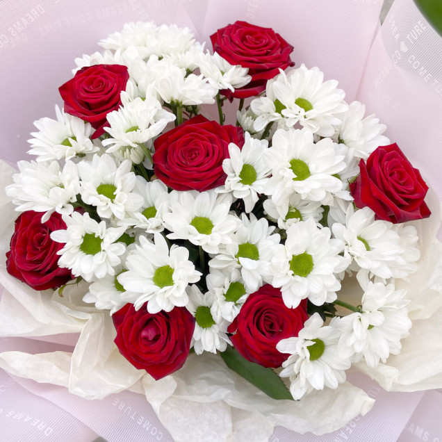 Хризантеми "Романс"