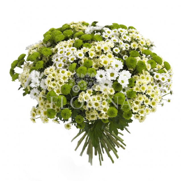 Хризантемы "Вальс цветов"