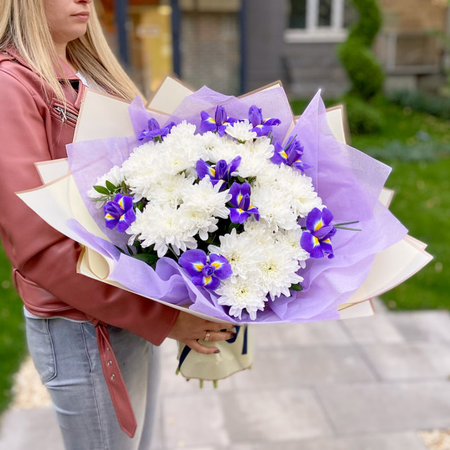 Хризантемы "Весенняя прогулка"