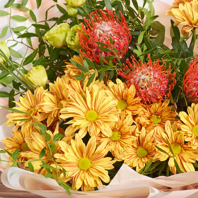 Хризантеми "Фарби осені"