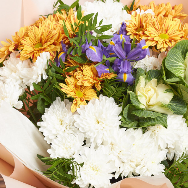 Хризантеми "Зоряне небо"