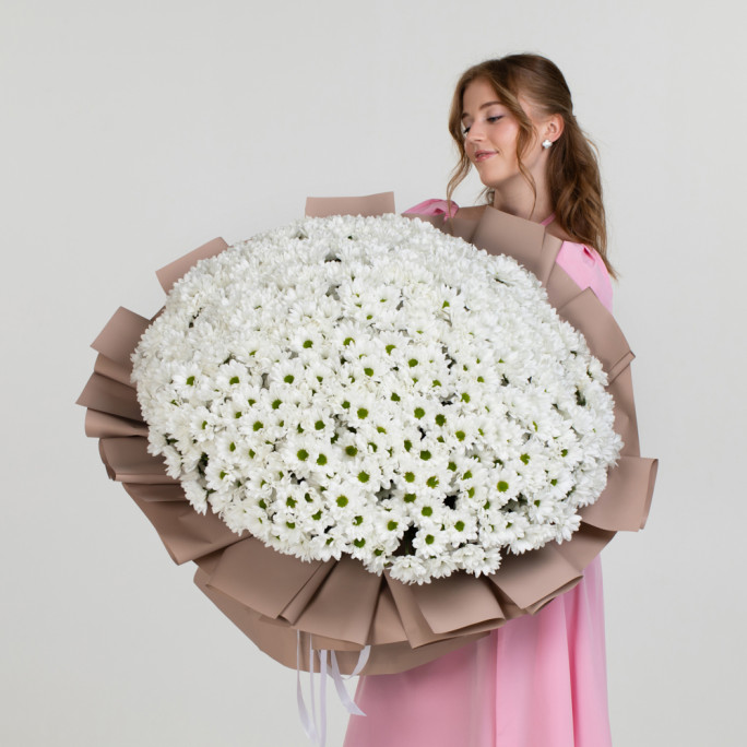 Хризантемы "Комплимент" Хризантемы "Комплимент"