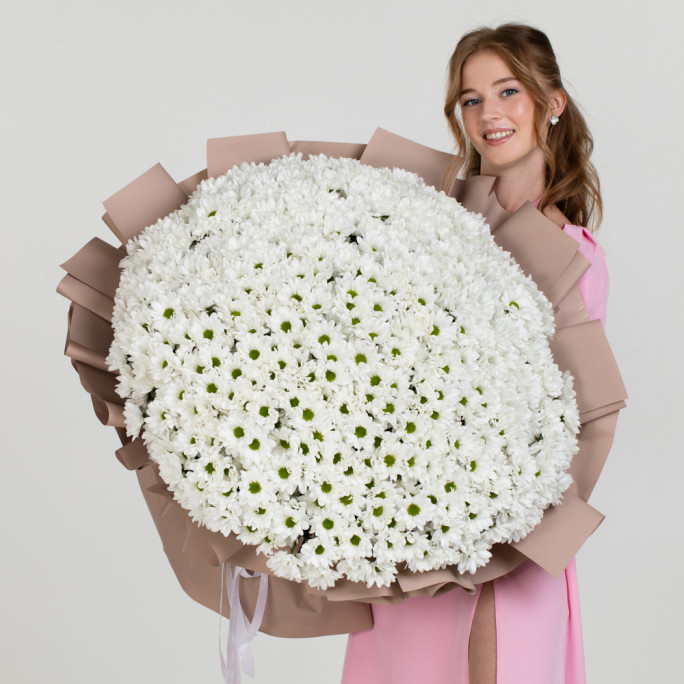 Хризантемы "Комплимент" Хризантемы "Комплимент"