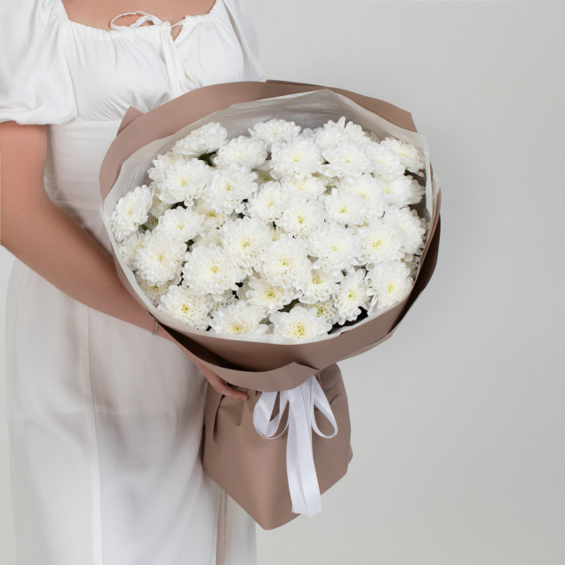 Хризантеми "Промінь сонця"