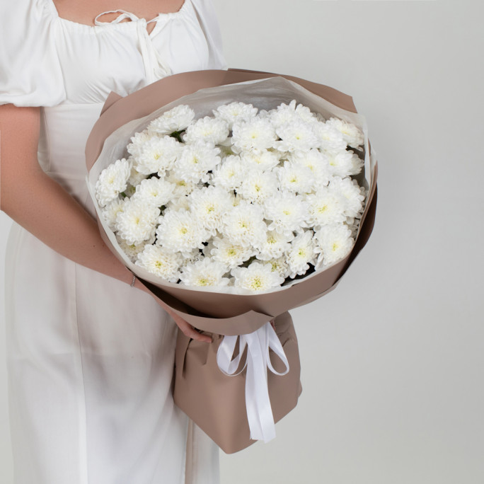 Хризантемы "Лучик солнца" Хризантемы "Лучик солнца"