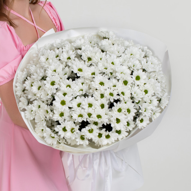 Хризантеми "Зимовий сон"