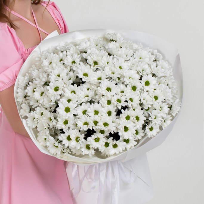 Хризантемы "Зимний сон" Хризантемы "Зимний сон"