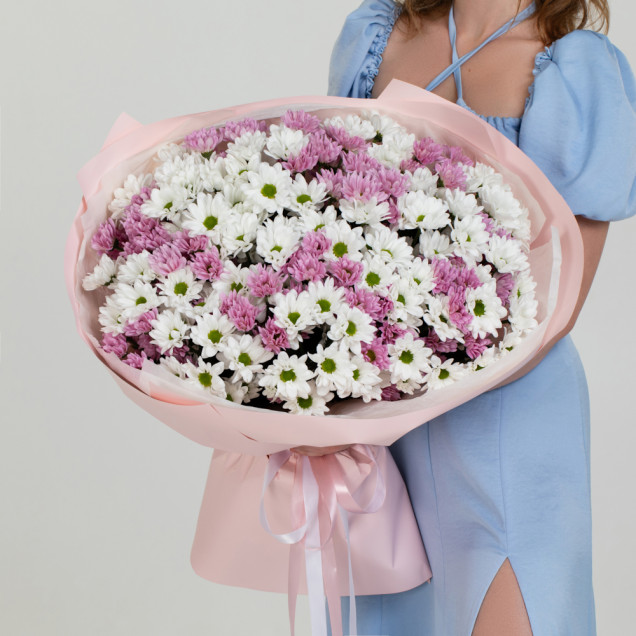 Хризантеми "Художник"