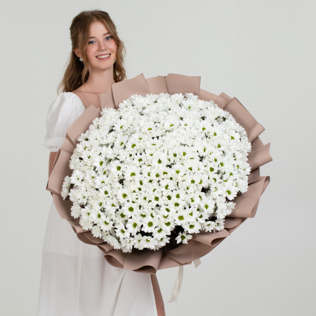 Хризантемы "Тайное желание"