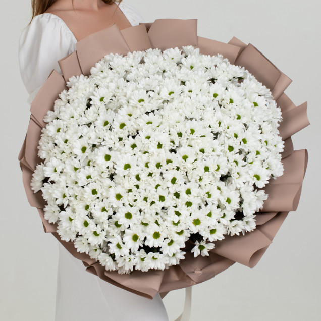 Хризантеми "Таємне бажання"