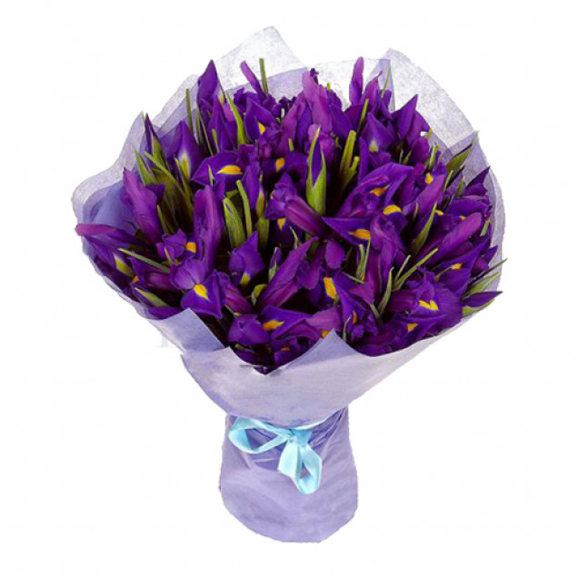 Ирисы "Лунная рапсодия"