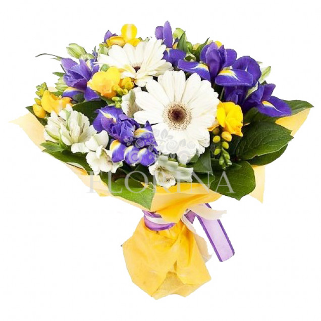 Ирисы "Нежное утро"