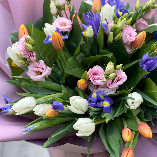 Іриси "Відтінок весни"