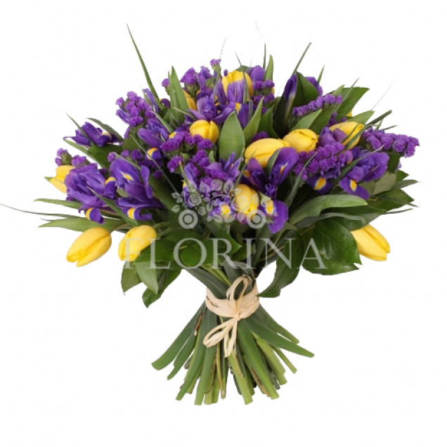 Ирисы "Привлекательность"