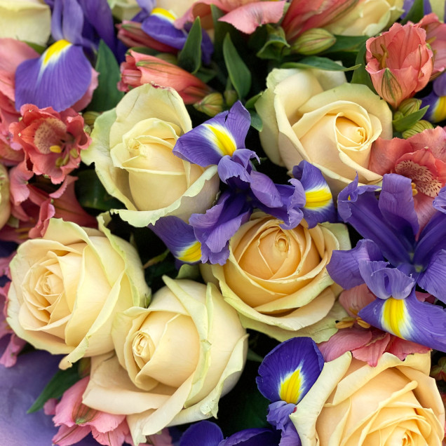 Іриси "Тепла осінь"