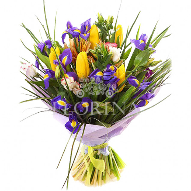 Іриси "Ти моє все"