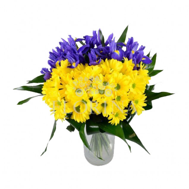 Ирисы "Украина"