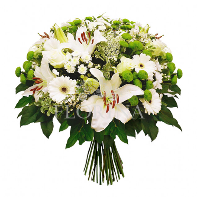 Лілії "Лаконічність"