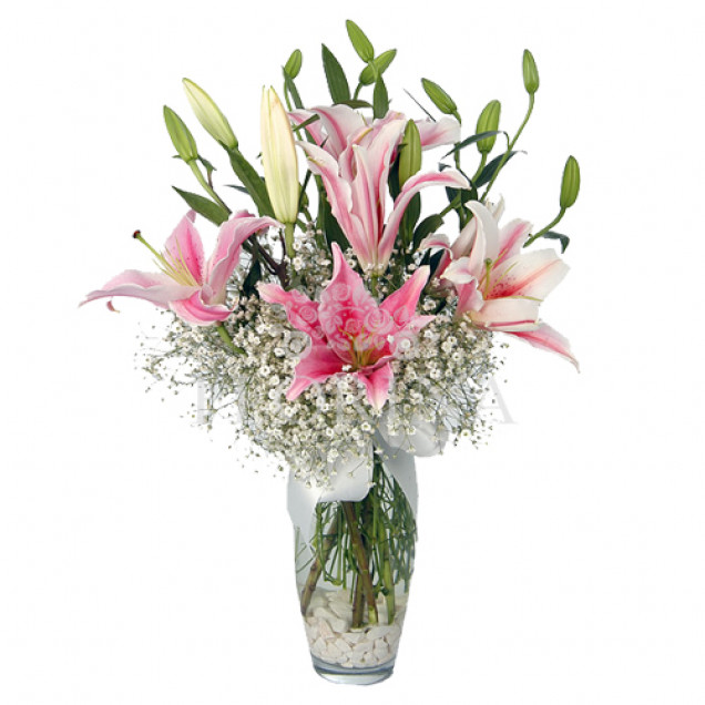 Лилии "Взаимность"